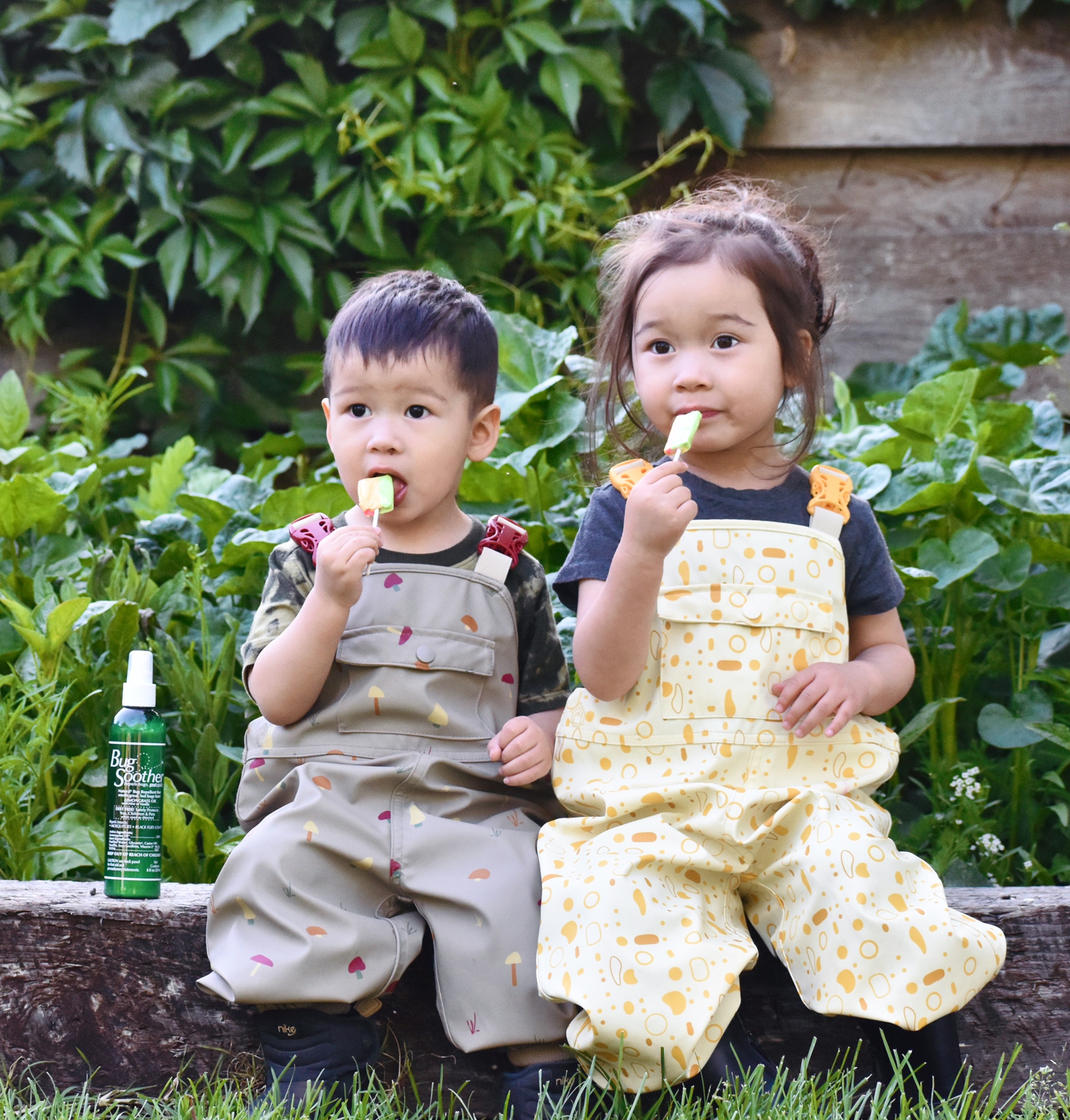 Back to School Pest Control: How to Keep Bugs Out of Your Home