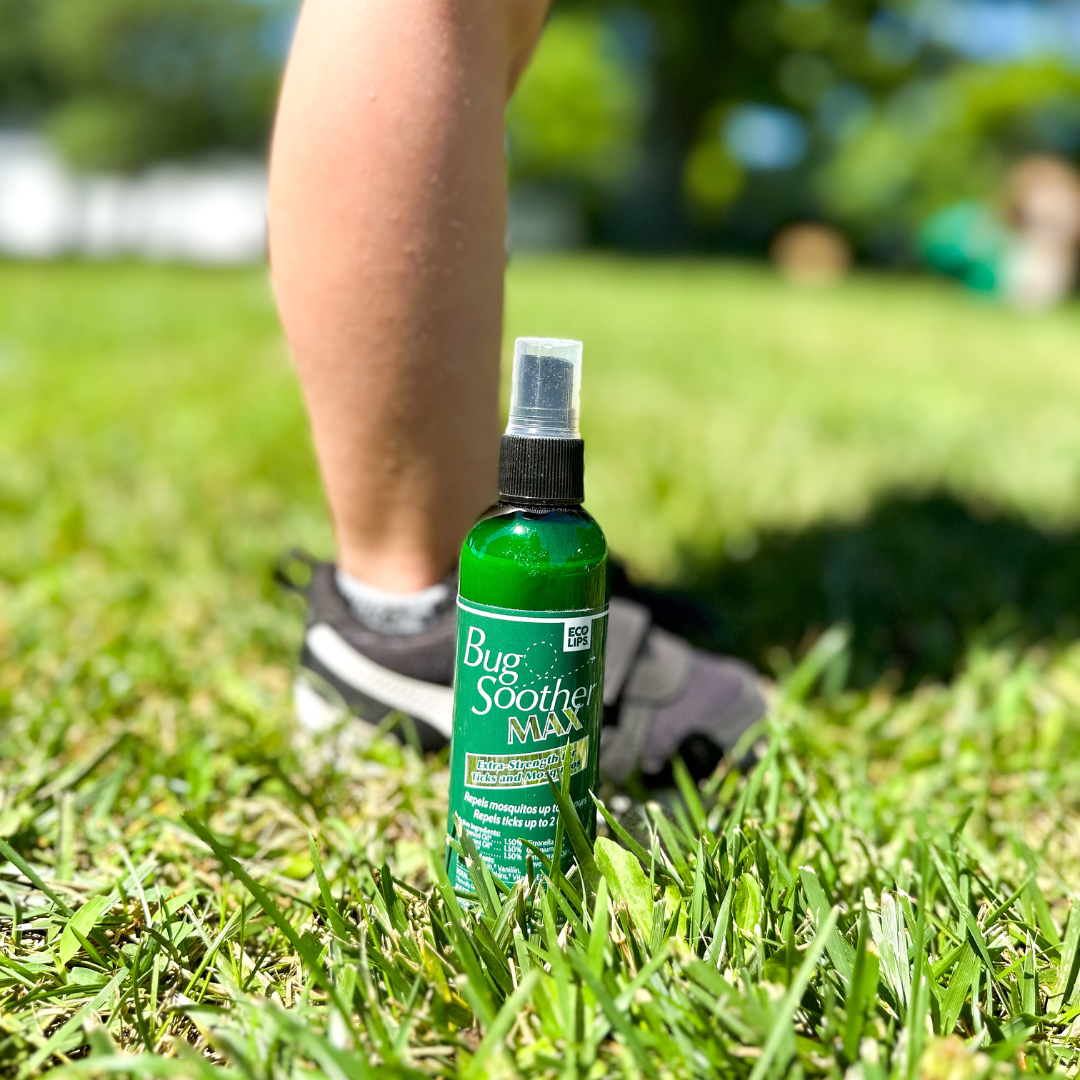 What Attracts Mosquitos and How to Avoid Becoming a Target