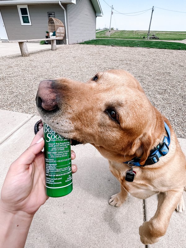 10 Fun Family Camping Ideas for a Memorable Adventure