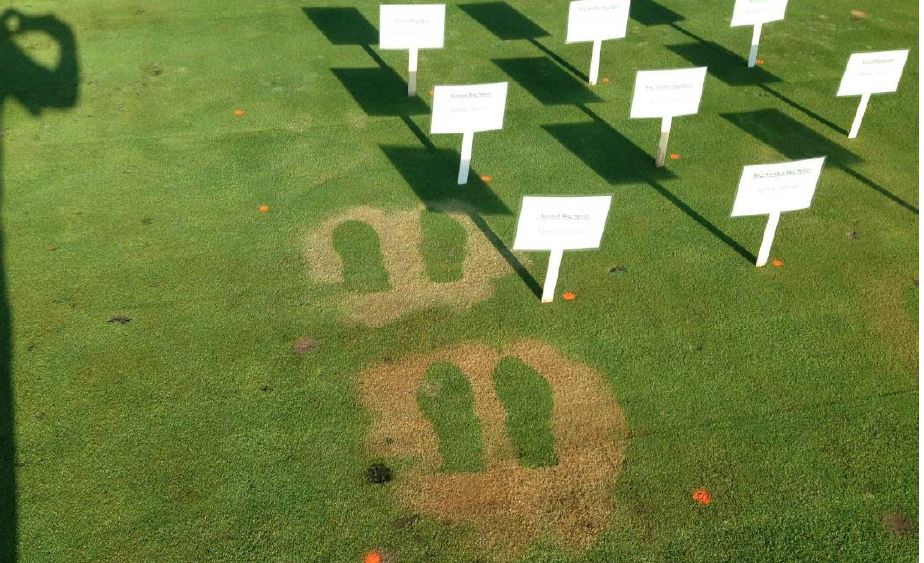 Is Your Golf Green in Danger from Mosquito Repellents?